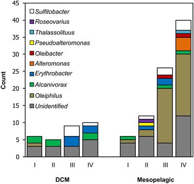 Isolation and Characterization of Bacteria That Degrade Phosphonates in Marine Dissolved Organic Matter